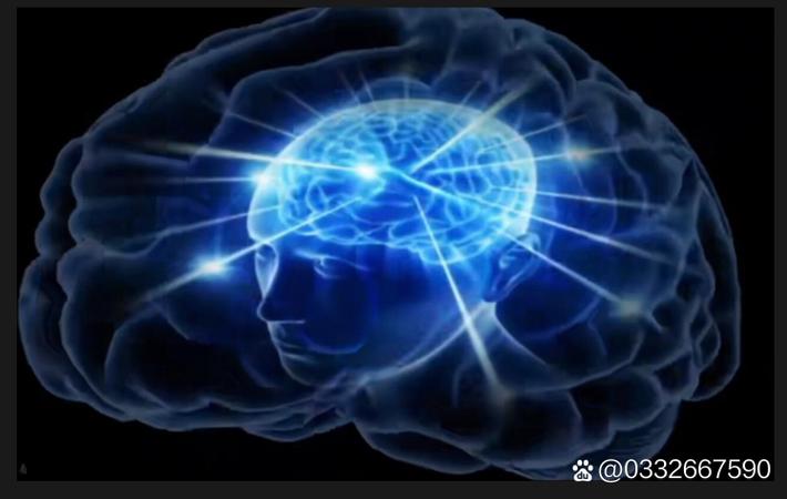 顶流CP被拍同框，粉丝疯狂磕糖但当事人双双否认
